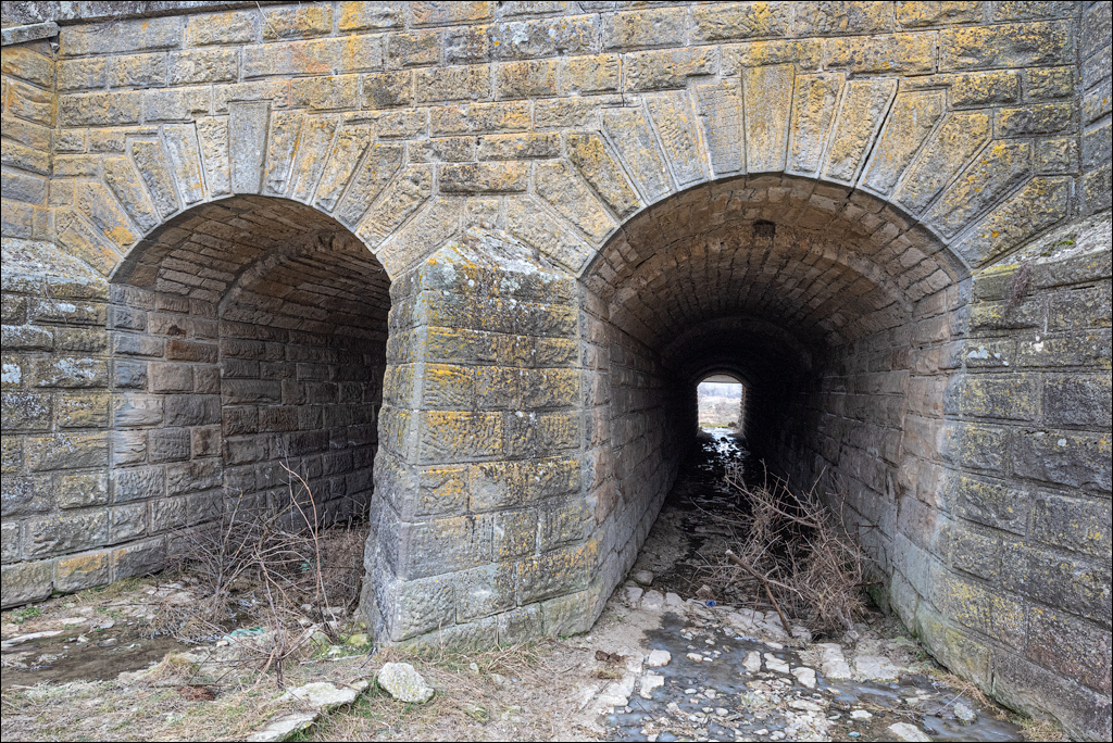 GuraCamencii Floresti 22022020 21