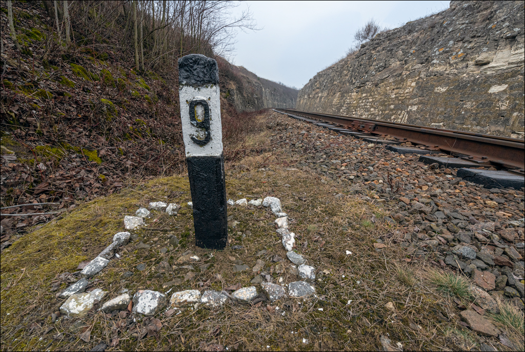 GuraCamencii Floresti 22022020 23