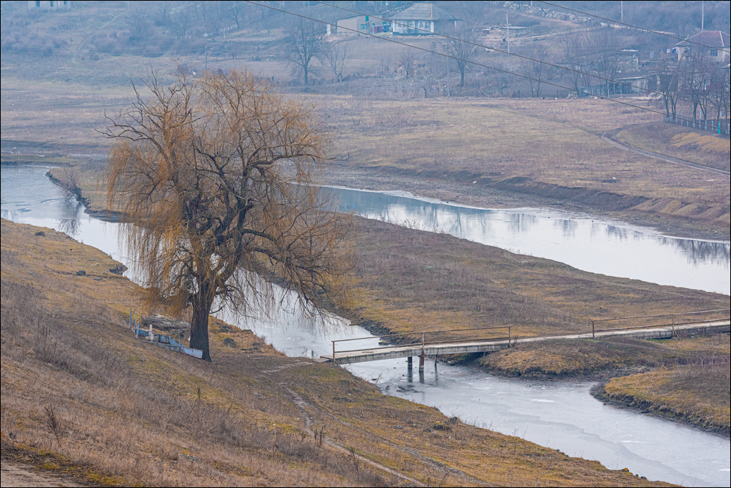 GuraCamencii Floresti 22022020 30