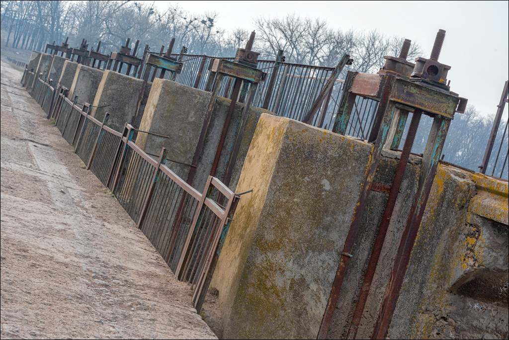 GuraCamencii Floresti 22022020 60