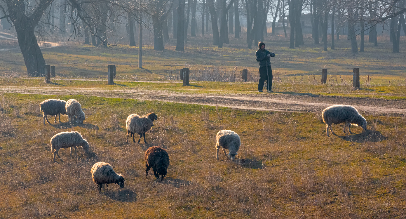GuraCamencii Floresti 23022020 68