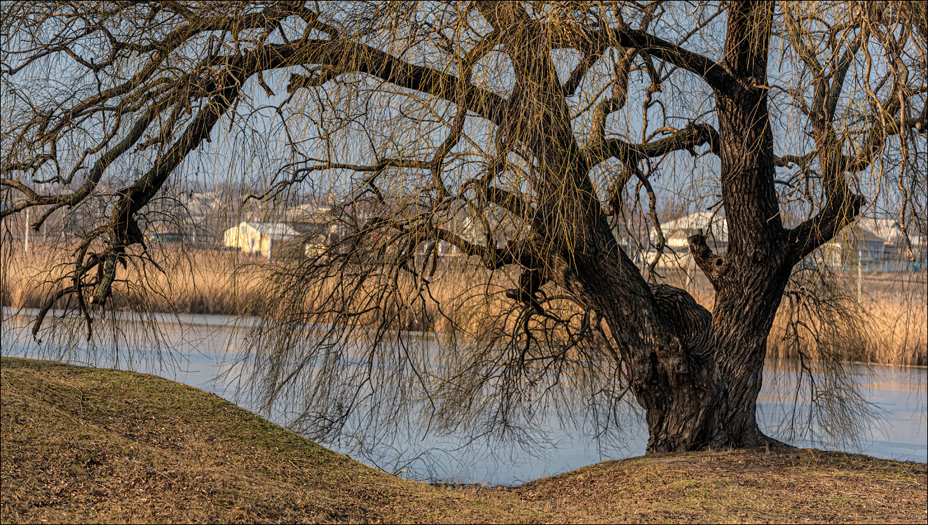 GuraCamencii Floresti 23022020 69