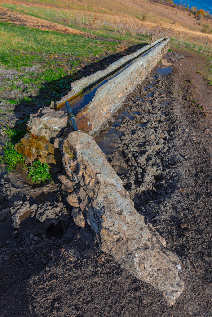 Rogojeni Domulgeni 28oct2023 111