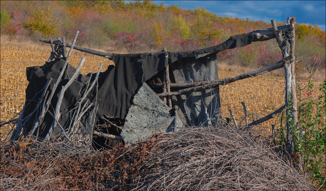 Rogojeni Domulgeni 28oct2023 112