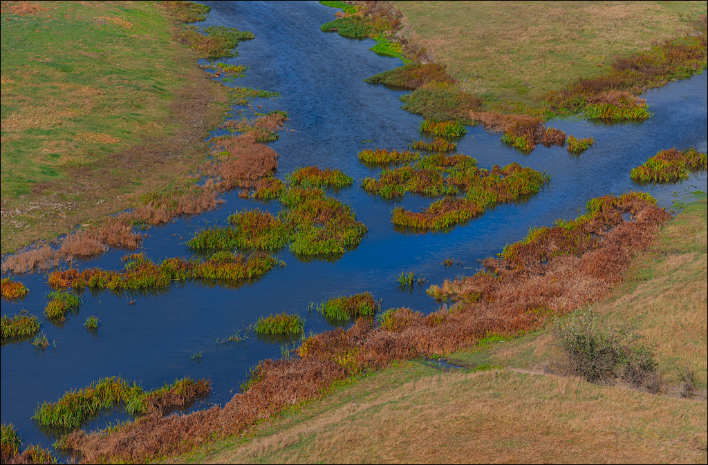 Rogojeni Domulgeni 28oct2023 120