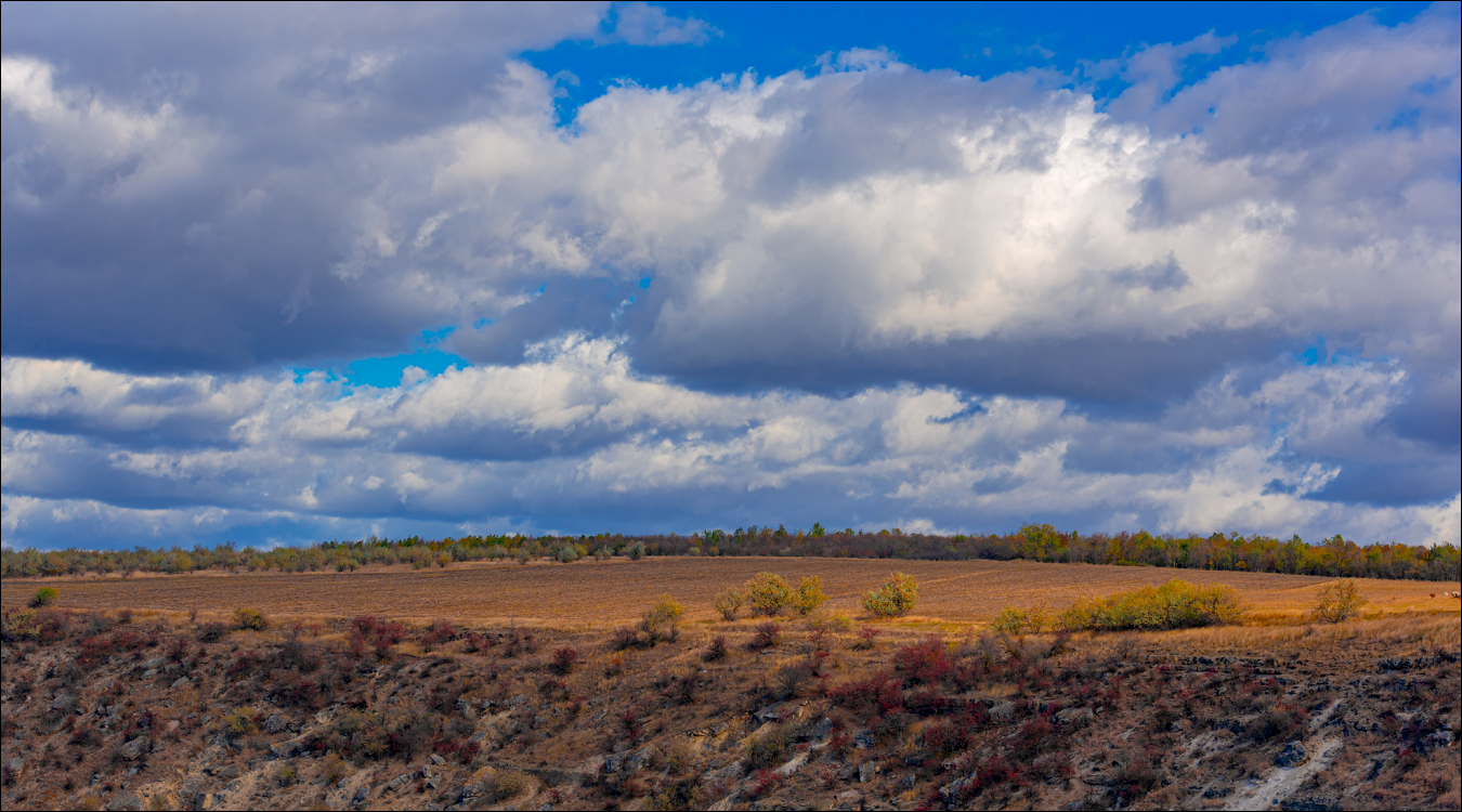 Rogojeni Domulgeni 28oct2023 123