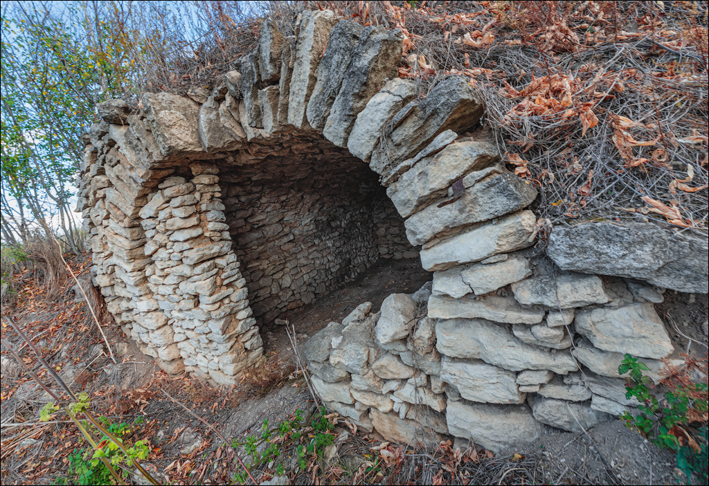 Rogojeni Domulgeni 28oct2023 137