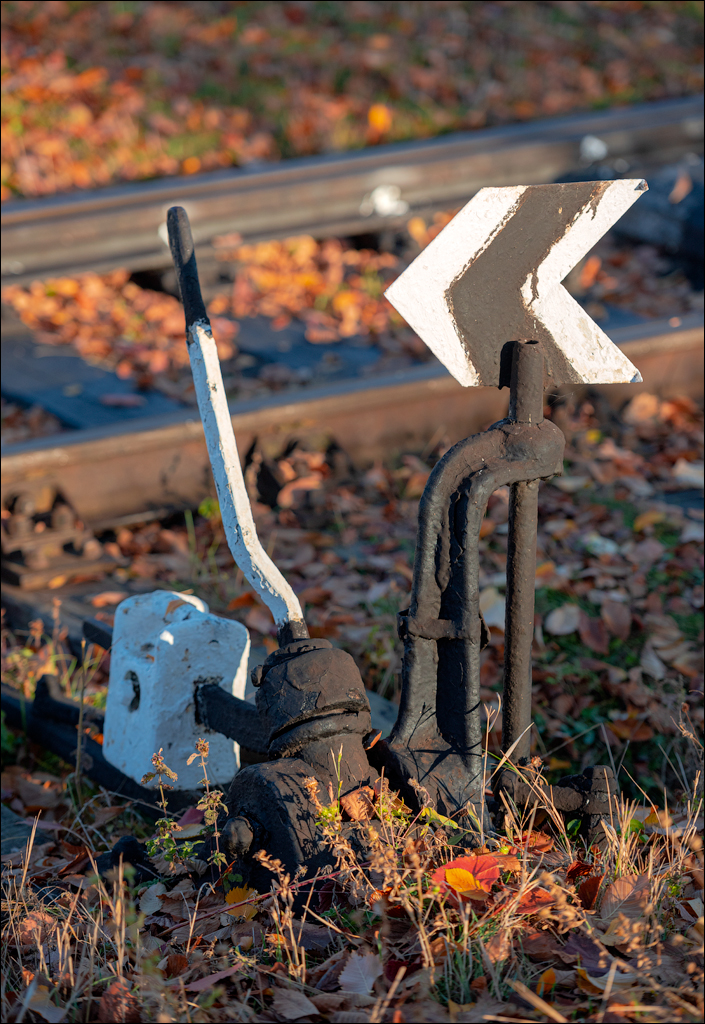 Rogojeni Tira Ghindesti 28122019 126