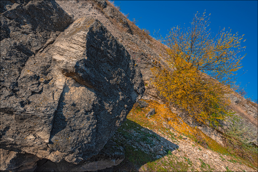 Rogojeni Tira Ghindesti 28122019 139