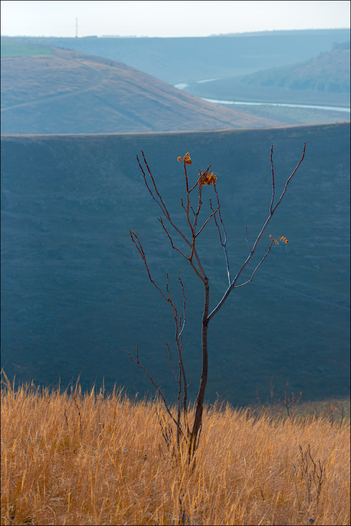 Rogojeni Tira Ghindesti 28122019 140