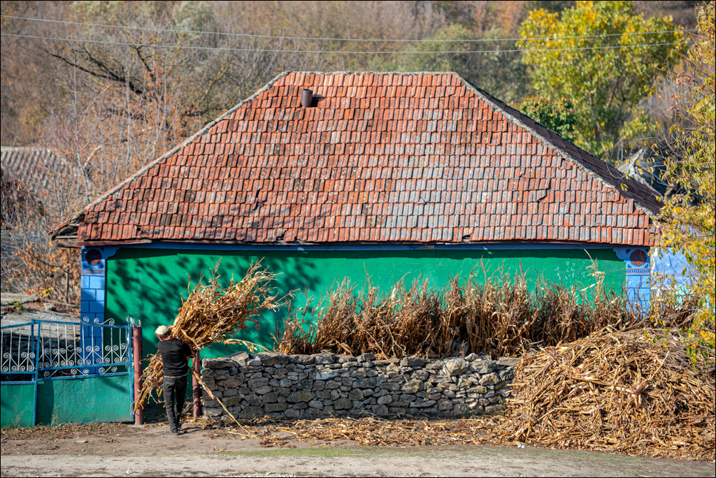 Rogojeni Tira Ghindesti 28122019 165