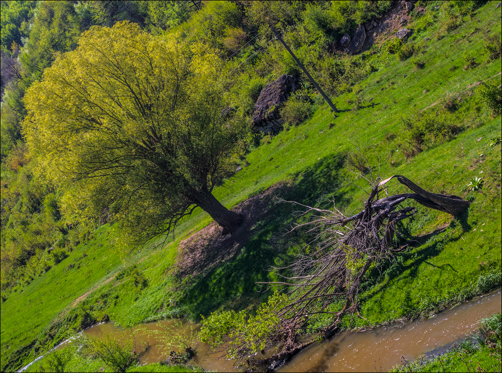 Soldanesti apr2018 02120180422