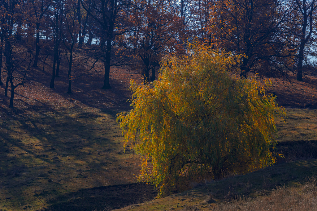 Trinca Gordinesti 29 30oct2021 124