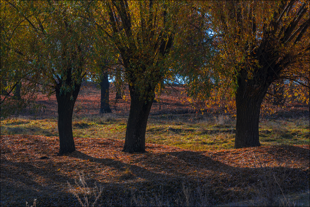 Trinca Gordinesti 29 30oct2021 127