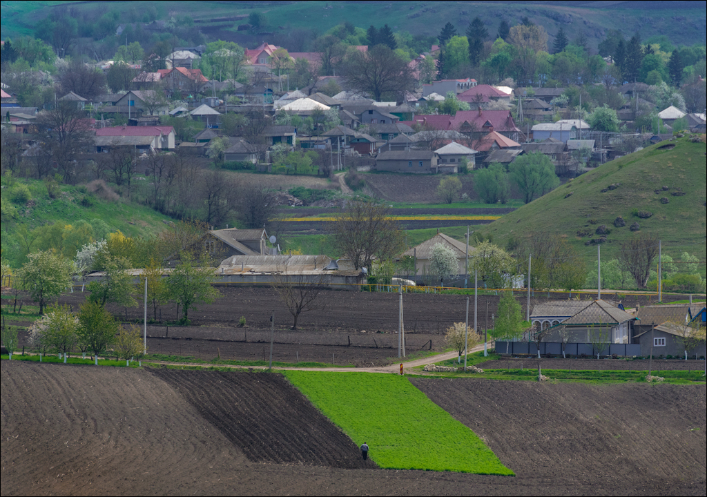 Caracuseni Corjeuti Fetesti Gordinesti 20190427106