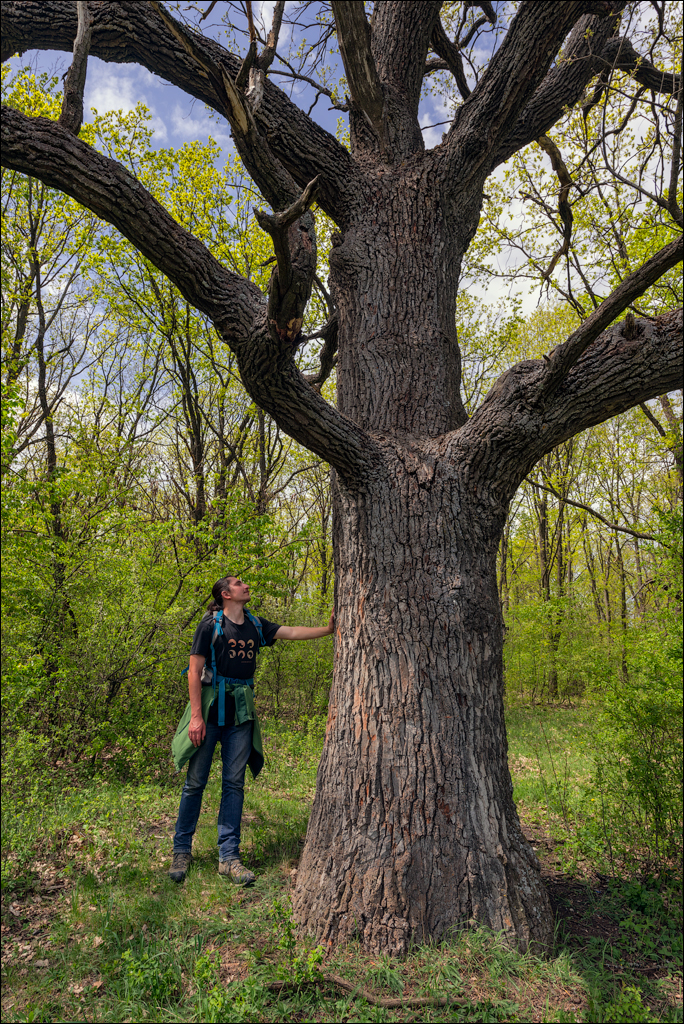 Caracuseni Corjeuti Fetesti Gordinesti 20190427107