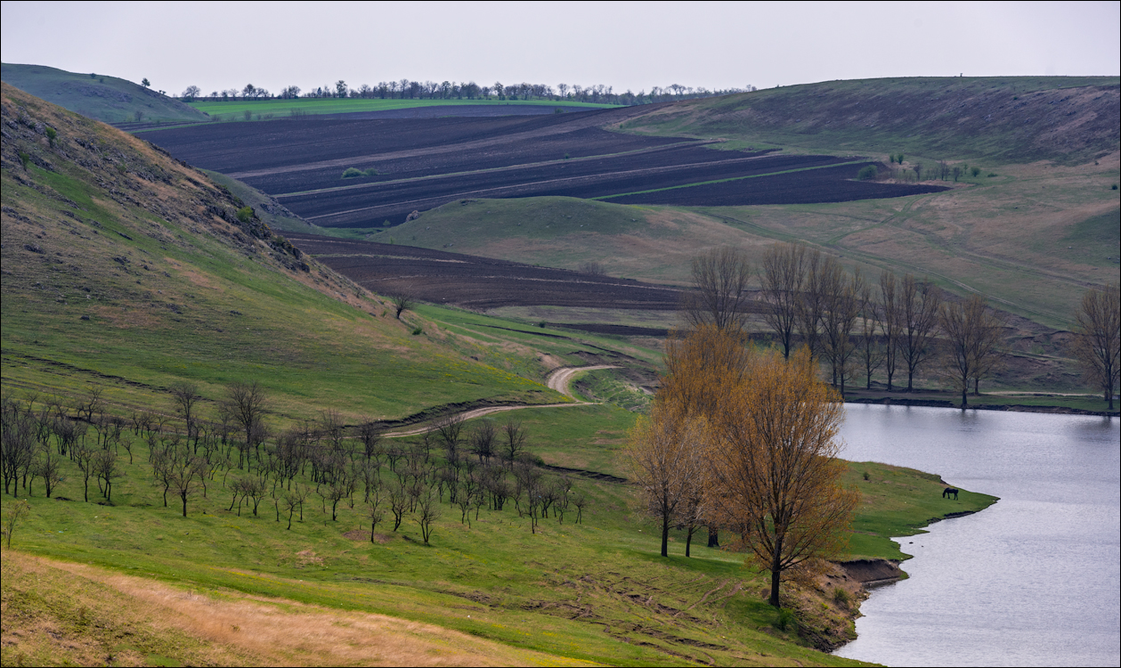 Caracuseni Corjeuti Fetesti Gordinesti 20190427115