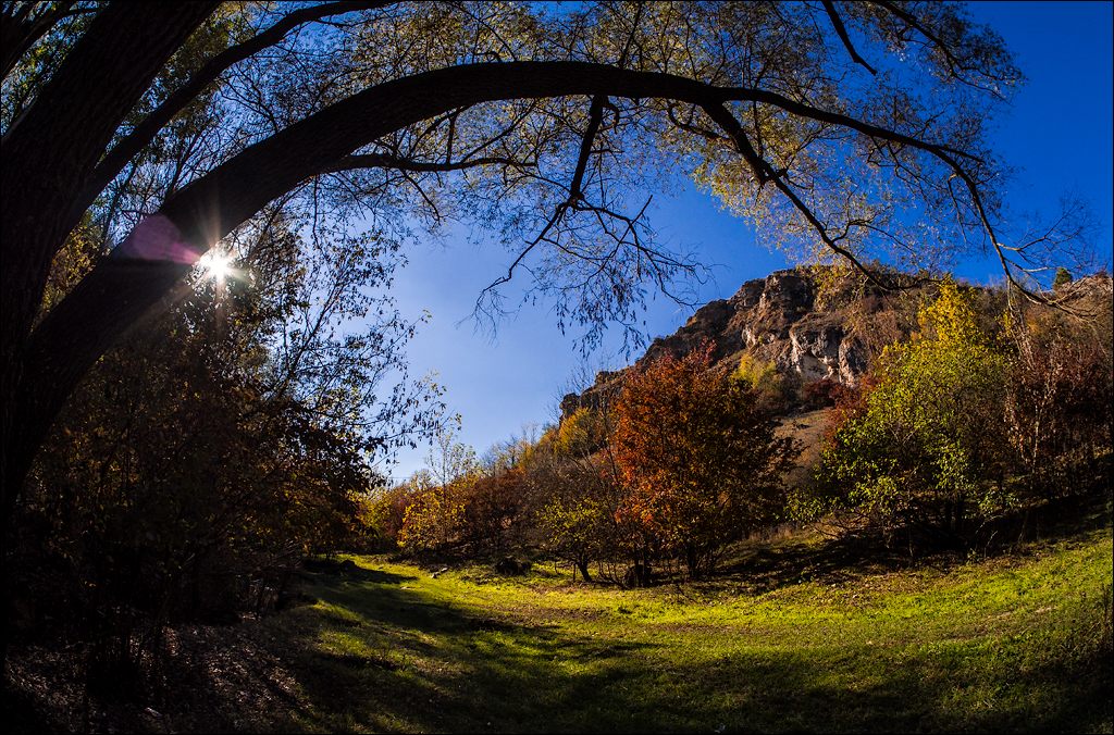 Corjeuti Fetesti 20172016122636