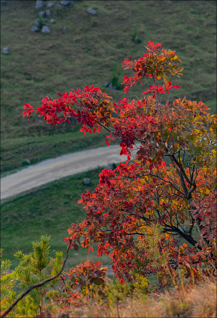 Trinca Gordinesti 24 25sep2022 119