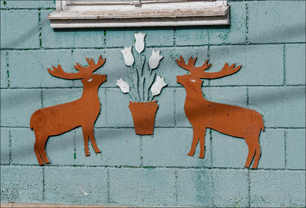 Trinca Gordinesti 24 25sep2022 148