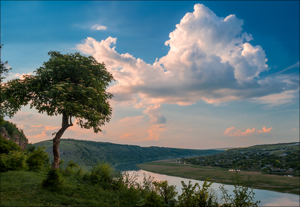 Tvipova Kotorogo Net 20060611014