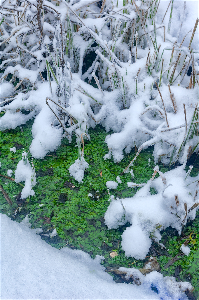 Tipova Poslezavtra 20060611007