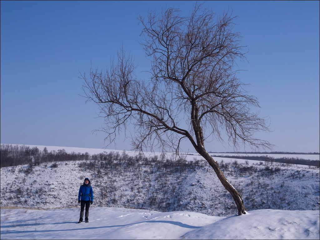 Tipova Mar 20180310015