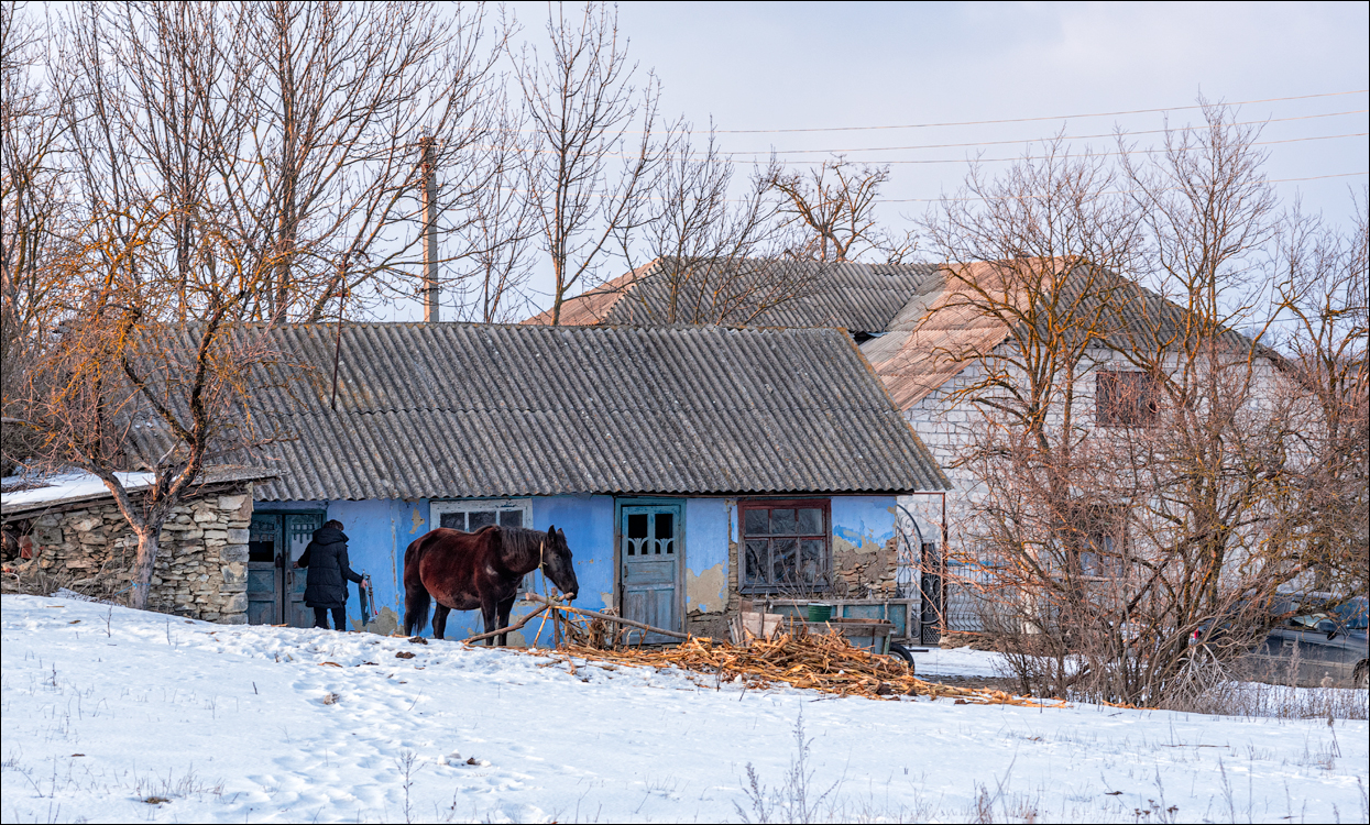 Tipova 20210218 19 107