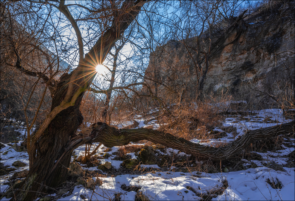 Tipova 20210218 19 118