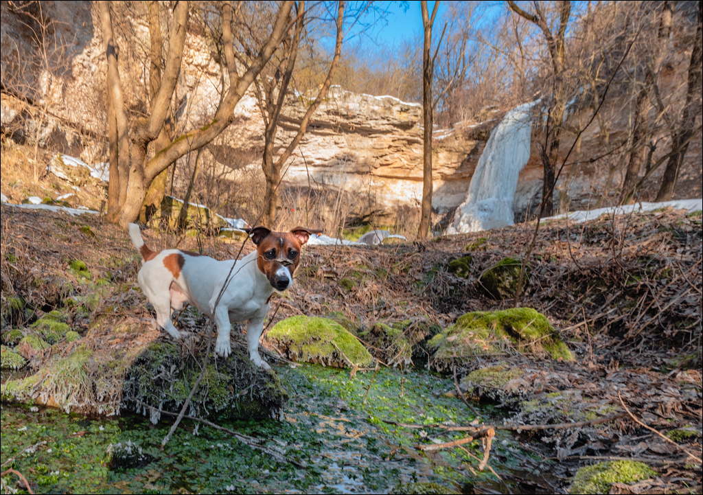 Tipova 20210218 19 122