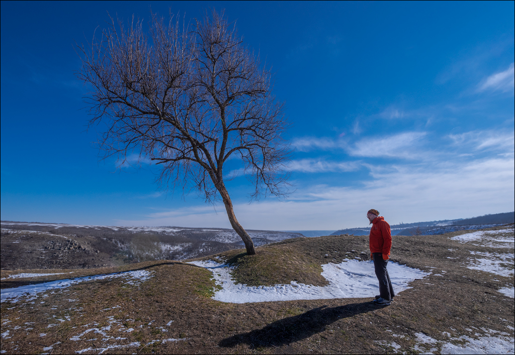 Tipova 20210218 19 134