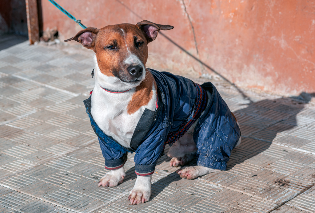 Tipova 20210218 19 153