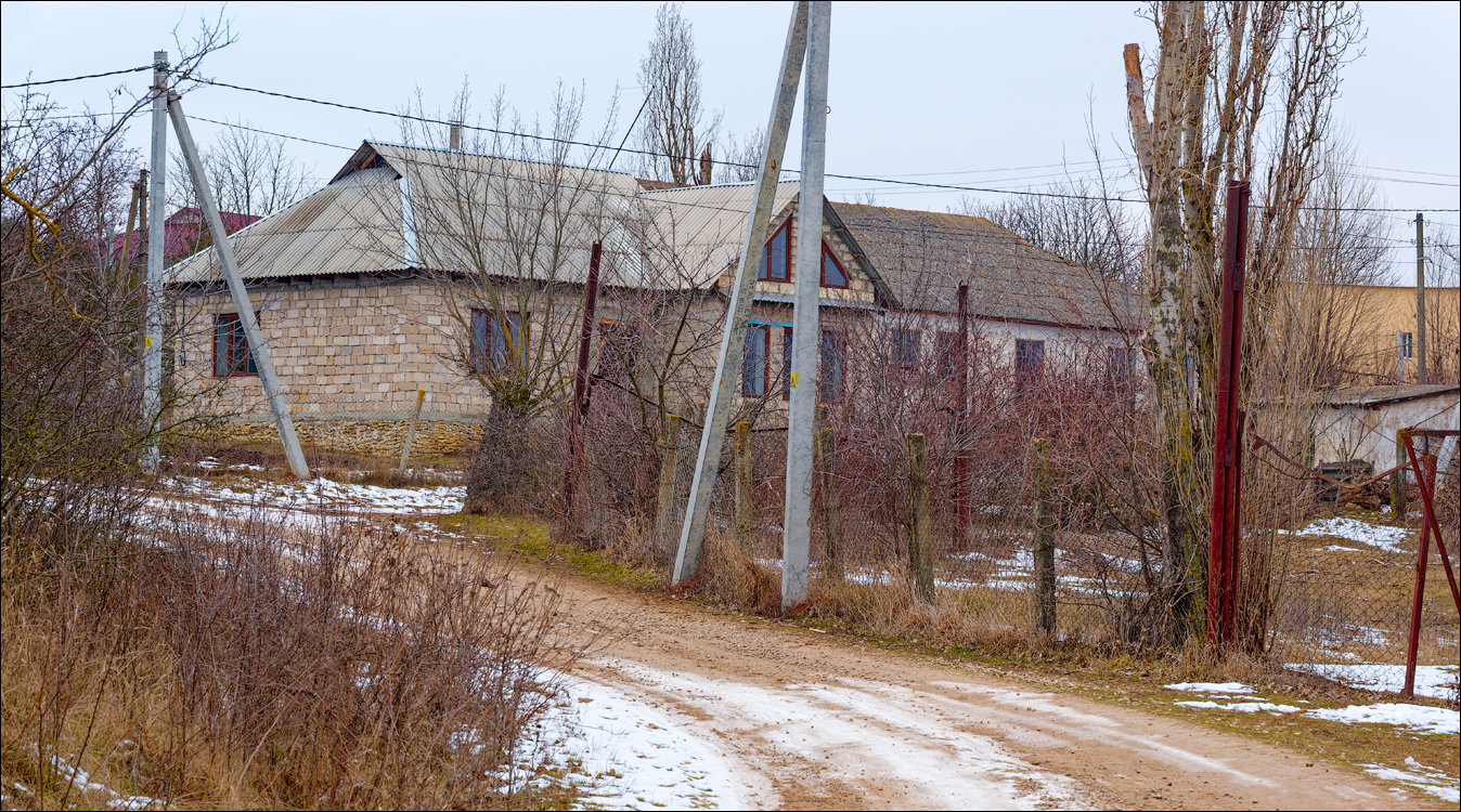 Tipova 22 23feb2025 110