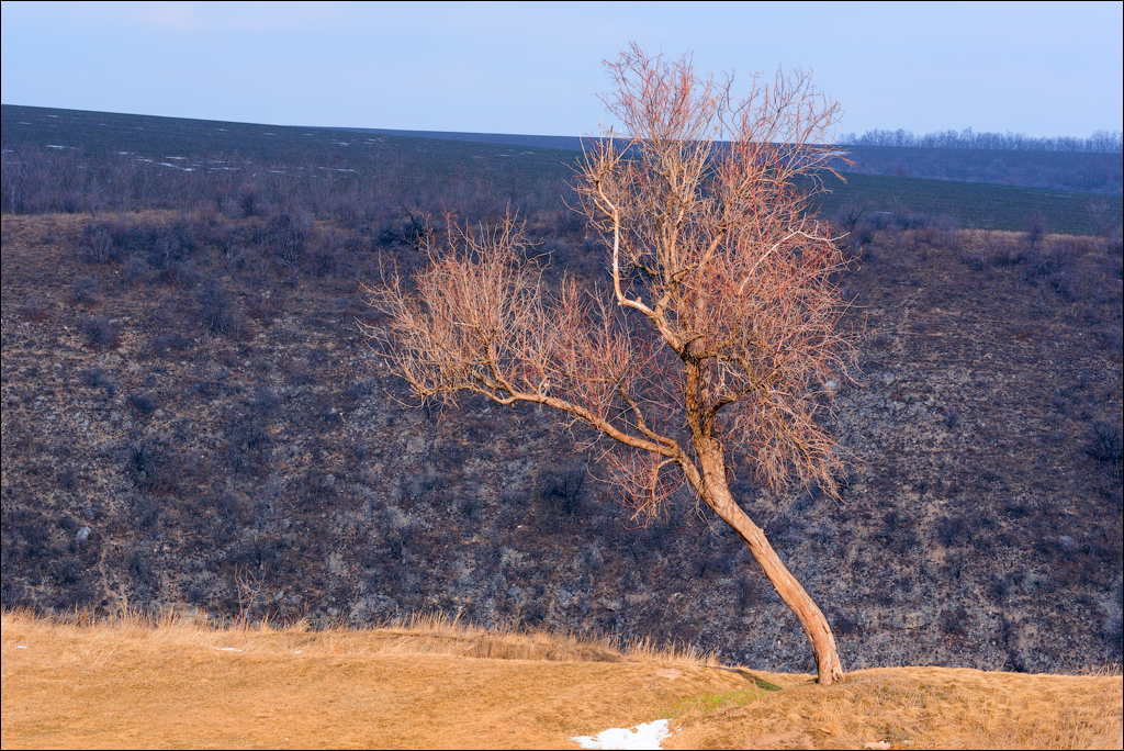 Tipova 22 23feb2025 129