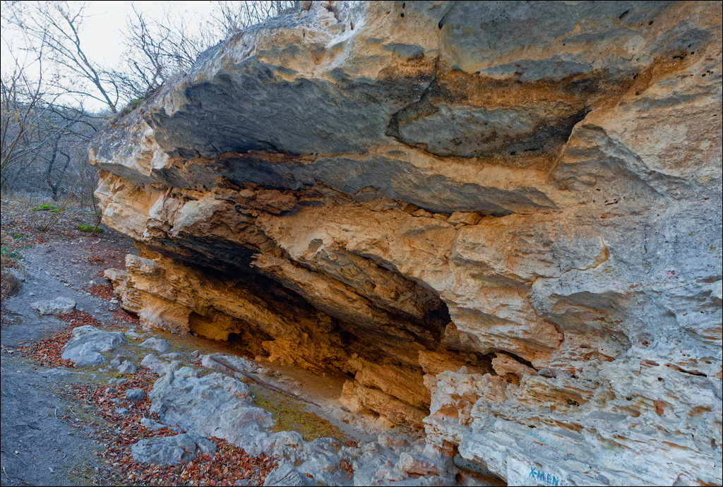 Tipova 22 23feb2025 168