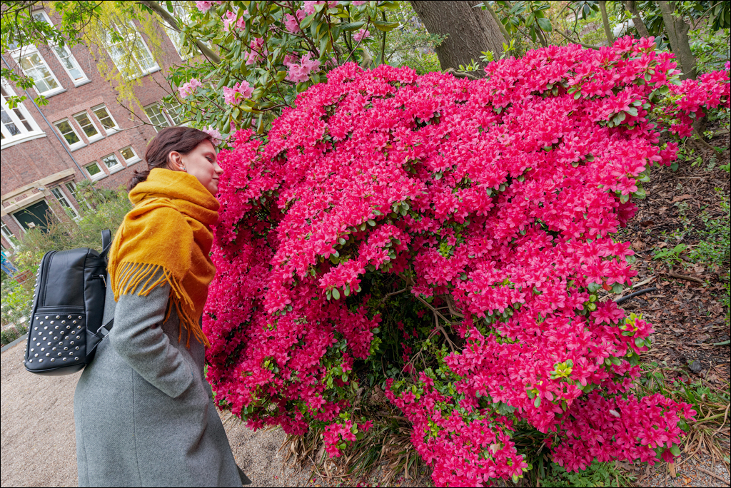 Amsterdam 20220425 143