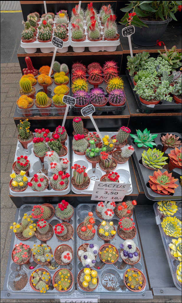 Amsterdam 20220428153