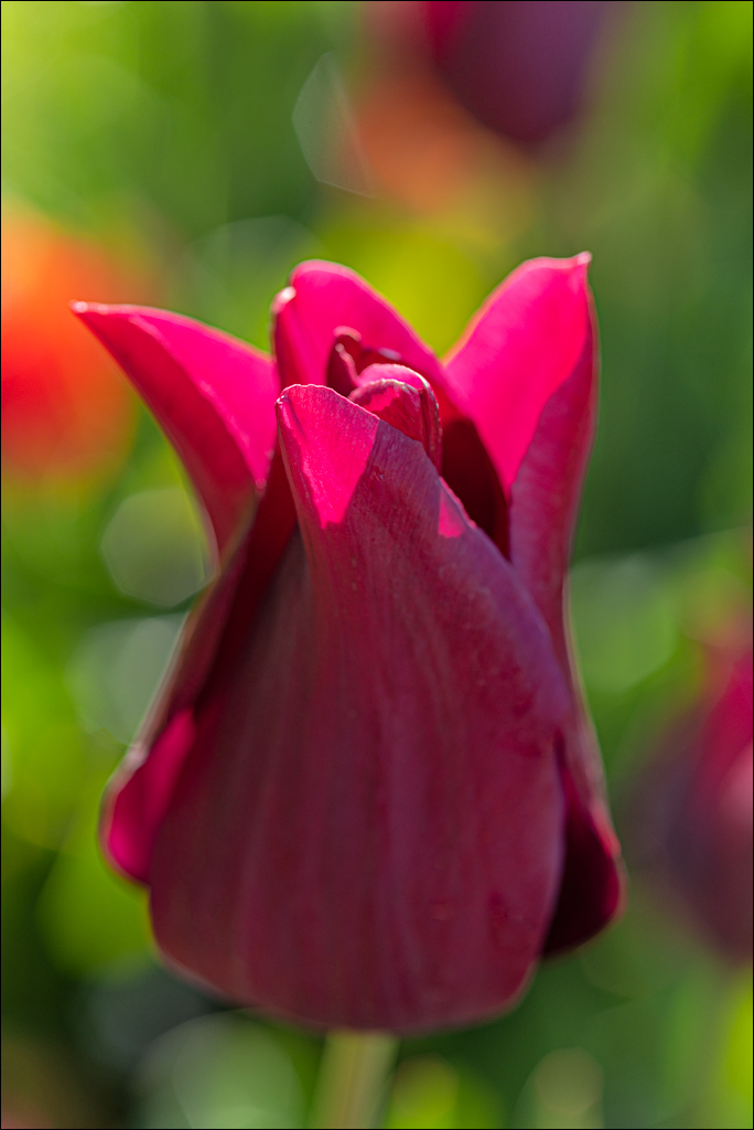 Amsterdam 202204261104