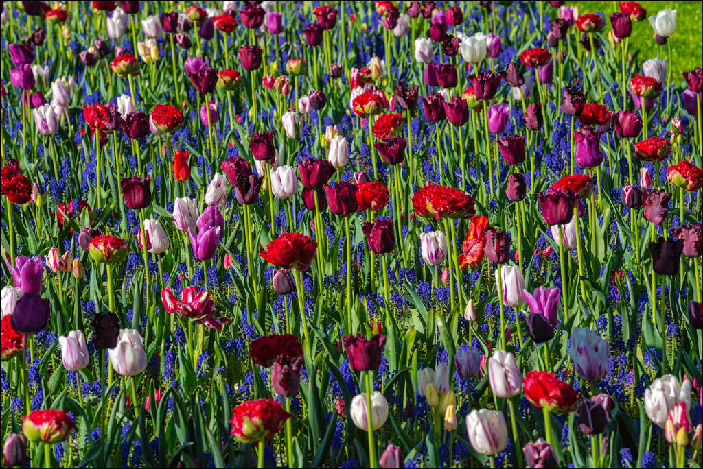 Amsterdam 202204261106