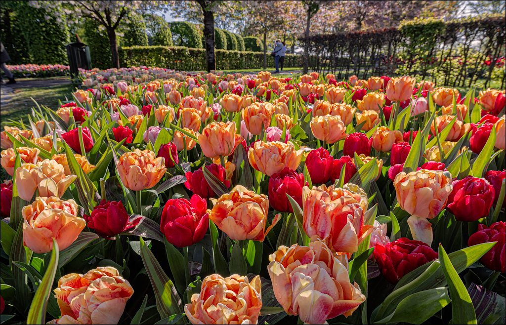 Amsterdam 202204261111