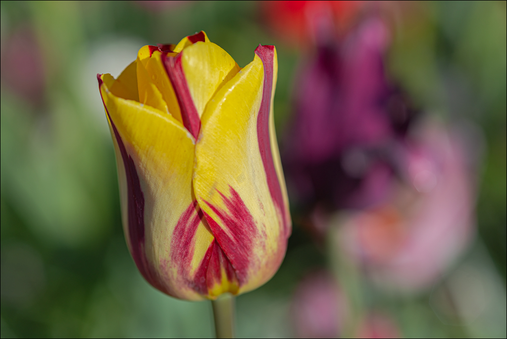 Amsterdam 2022042611161