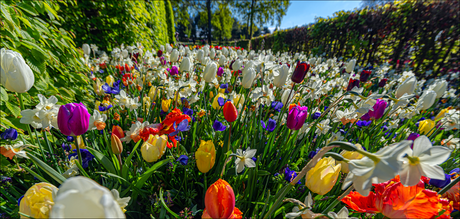 Amsterdam 202204261120