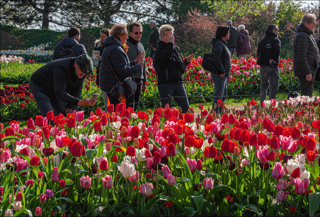 Amsterdam 202204261123