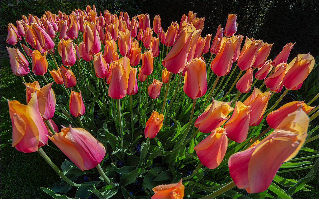 Amsterdam 202204261128