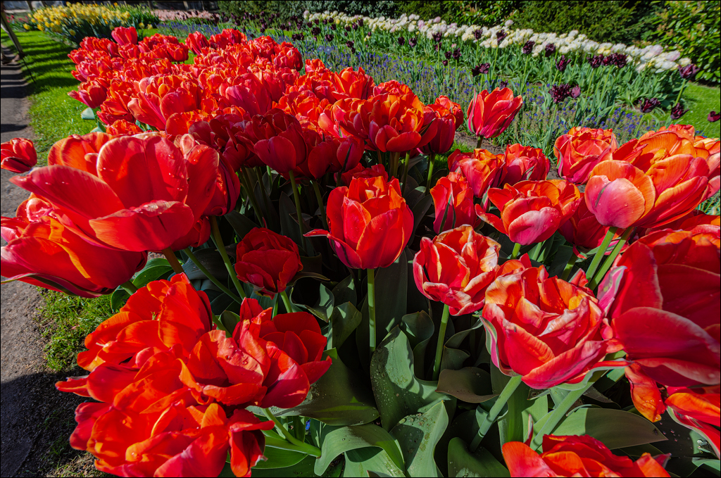 Amsterdam 202204261132