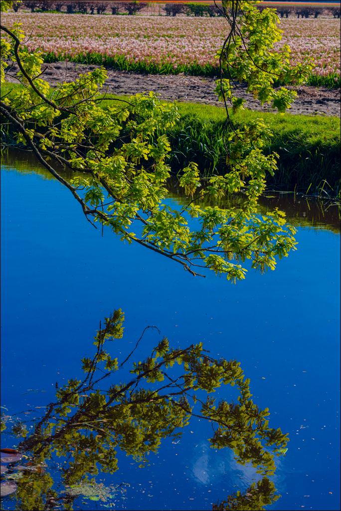 Amsterdam 202204261133