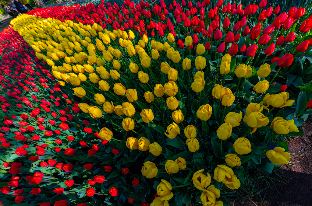 Amsterdam 202204261137