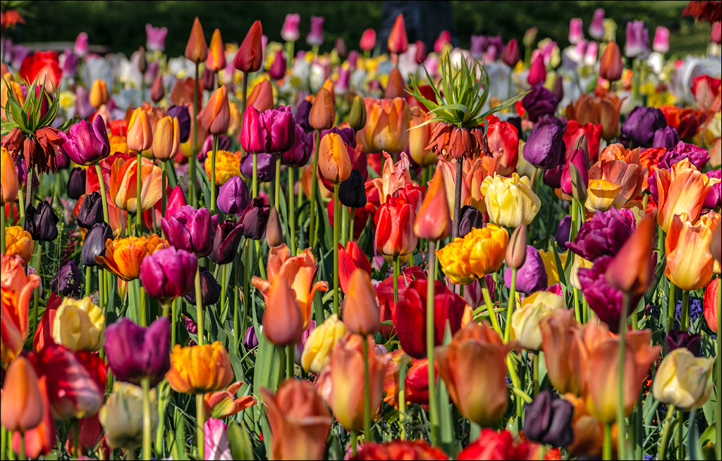 Amsterdam 202204261143