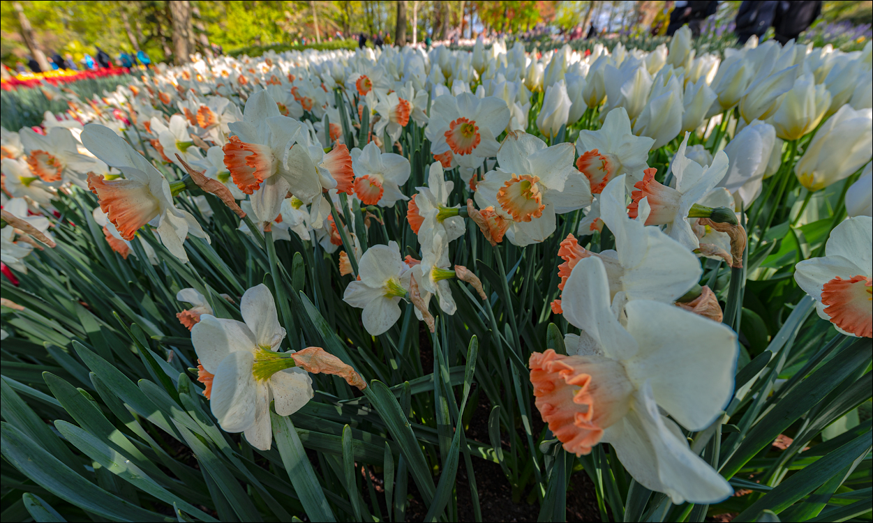 Amsterdam 202204261145
