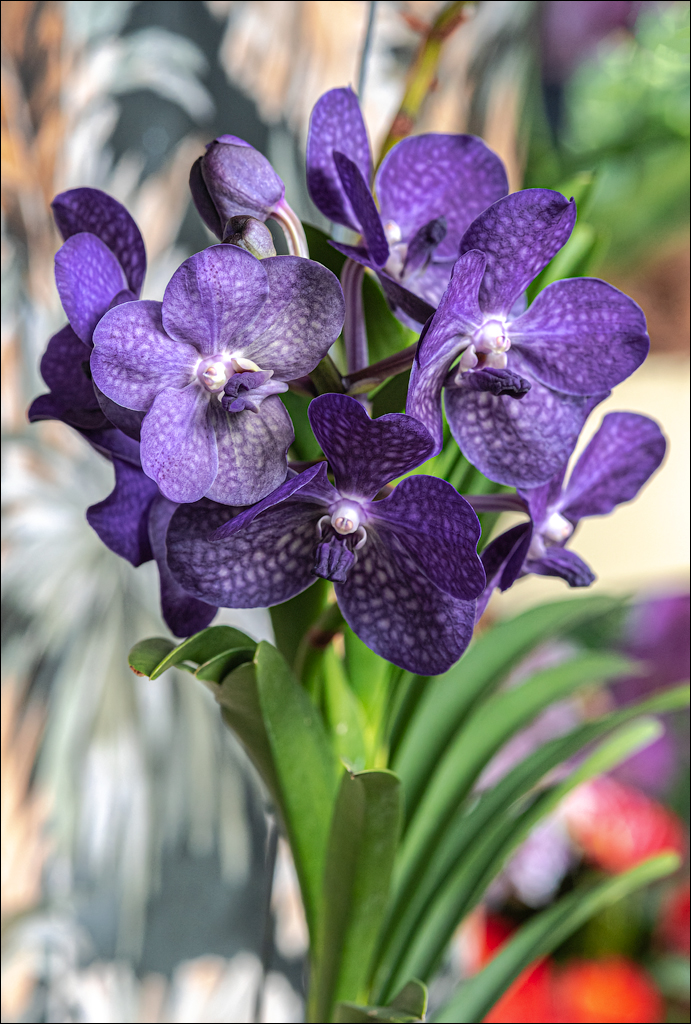 Amsterdam 202204261174